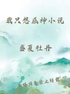 我只想成神小說