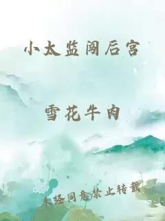 小太監(jiān)闖后宮