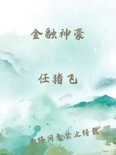 金融神豪