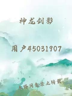 神龍劍影