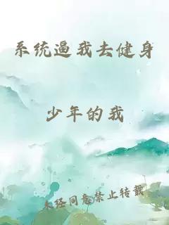 系統(tǒng)逼我去健身