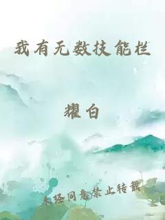 我有無(wú)數(shù)技能欄