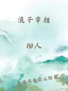 浪子宰相